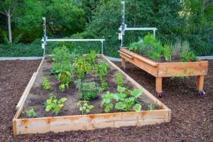 Farmbot Express